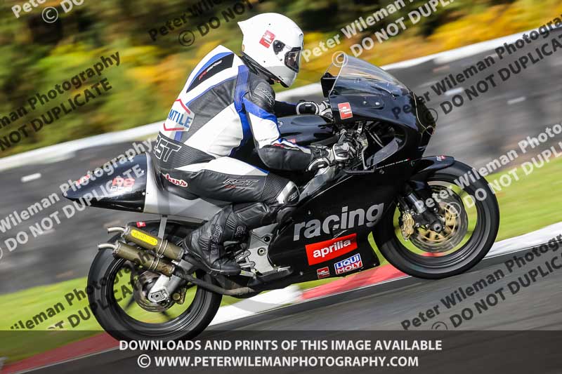 anglesey;brands hatch;cadwell park;croft;donington park;enduro digital images;event digital images;eventdigitalimages;mallory;no limits;oulton park;peter wileman photography;racing digital images;silverstone;snetterton;trackday digital images;trackday photos;vmcc banbury run;welsh 2 day enduro